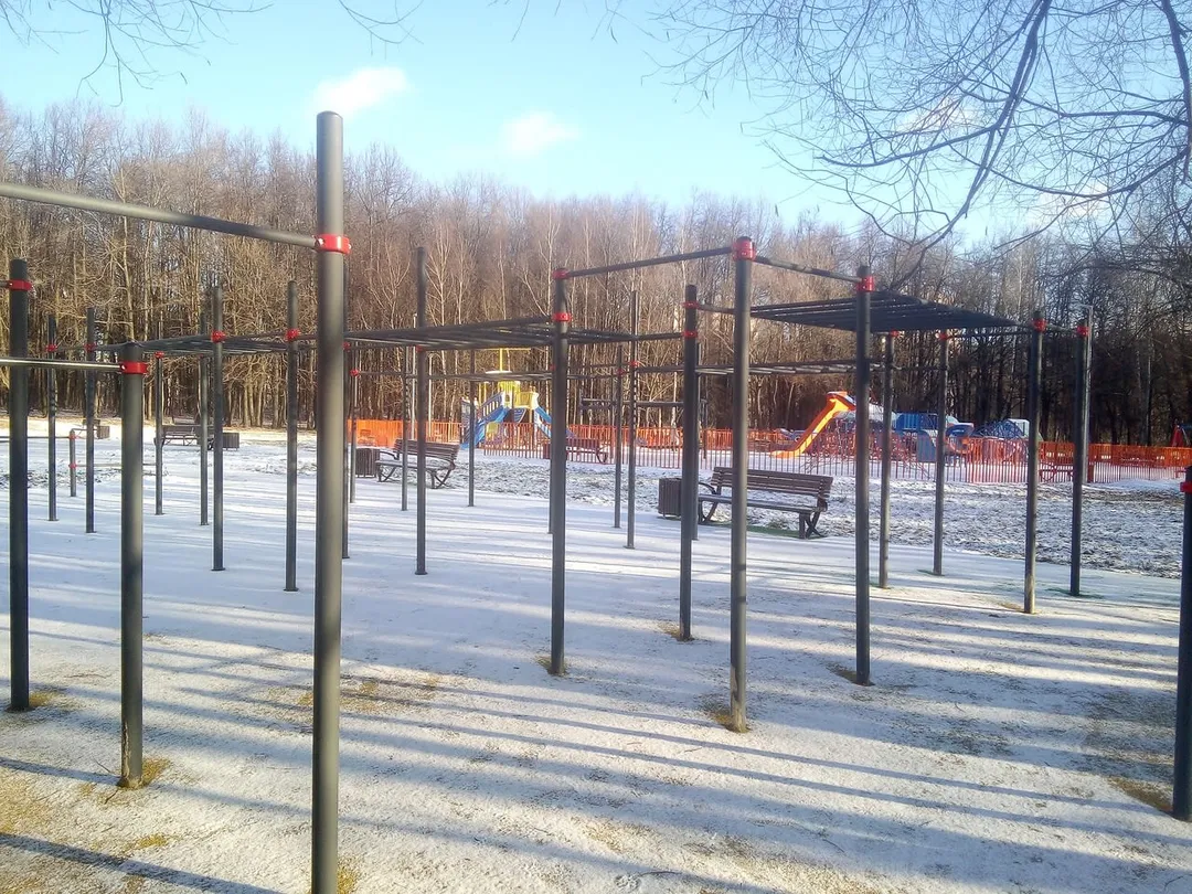Barra de Dominadas en Calisthenics Park at МКАД, 39-й километр, Москва – foto 1 de 5