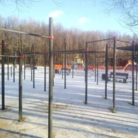 Calisthenics Park at МКАД, 39-й километр, Москва - thumbnail 1