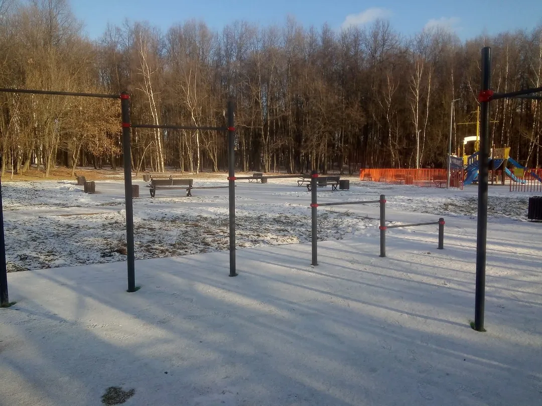 Barras Paralelas en Calisthenics Park at МКАД, 39-й километр, Москва – foto 3 de 5