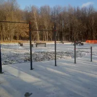 Calisthenics Park at МКАД, 39-й километр, Москва - thumbnail 3