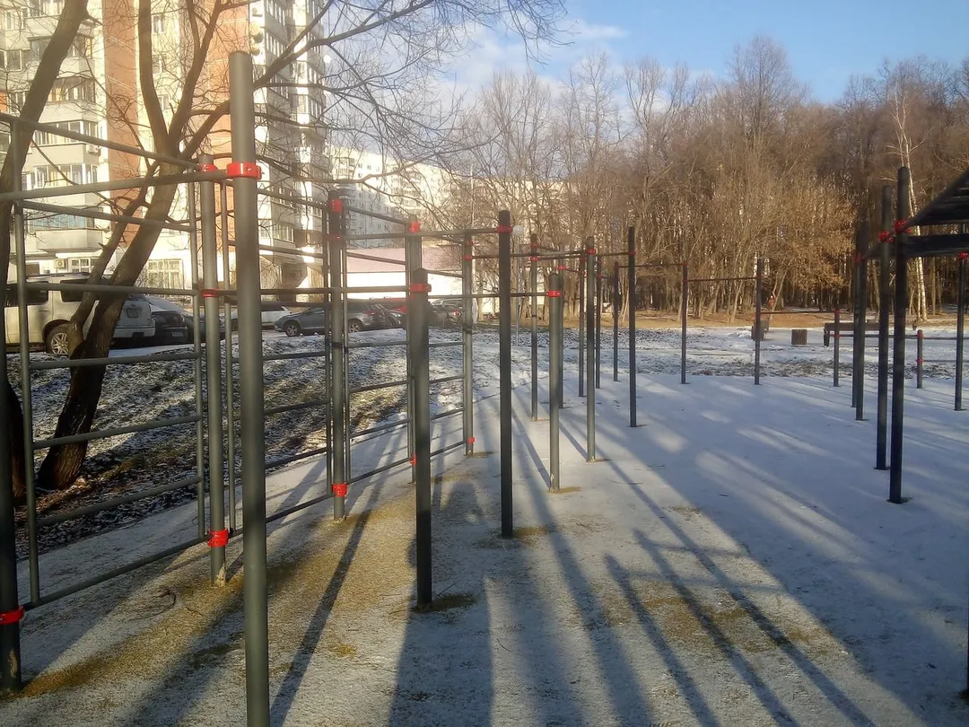 Barras Paralelas Bajas en Calisthenics Park at МКАД, 39-й километр, Москва – foto 4 de 5