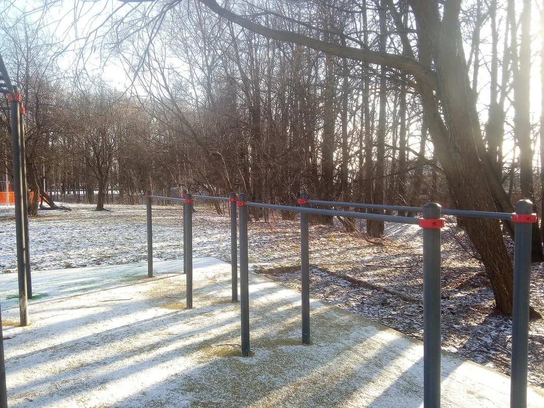 Barras de Mono en Calisthenics Park at МКАД, 39-й километр, Москва – foto 5 de 5