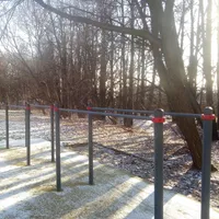 Calisthenics Park at МКАД, 39-й километр, Москва - thumbnail 5