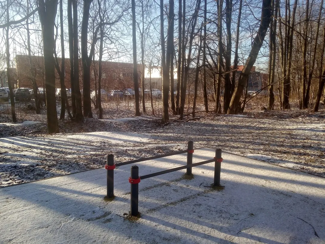 Barra de Flexiones en Calisthenics Park at МКАД, 39-й километр, Москва – foto 2 de 5