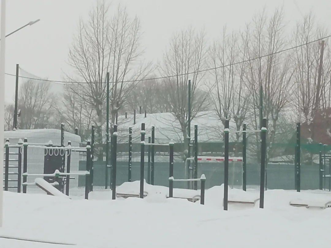 Sbarra per trazioni presso Calisthenics Park at улица Рылеева, Тюмень – foto 1 di 3