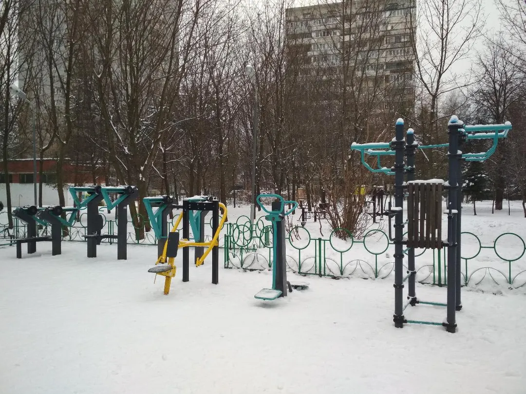 Pull Up Bar at Calisthenics Park at Severnaya ulitsa, Odintsovo – photo 1 of 1
