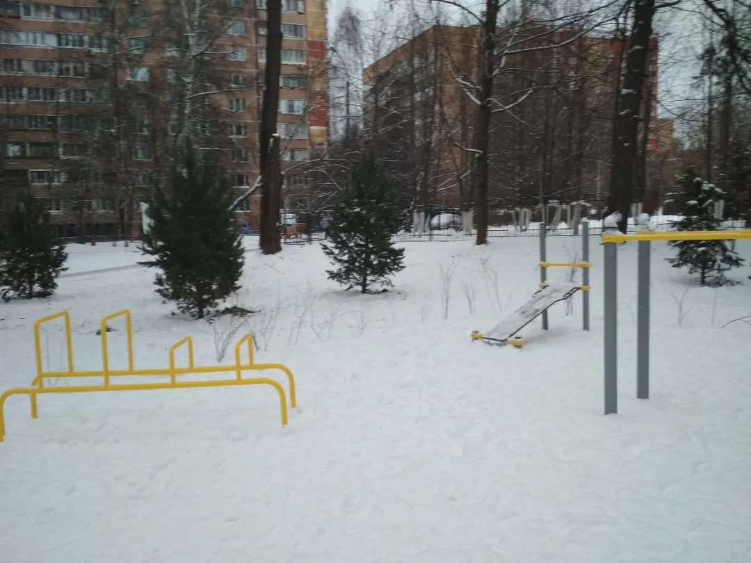 Бруси на майданчику Calisthenics Park at бульвар Любы Новосёловой, Одинцово – фото 2 з 3