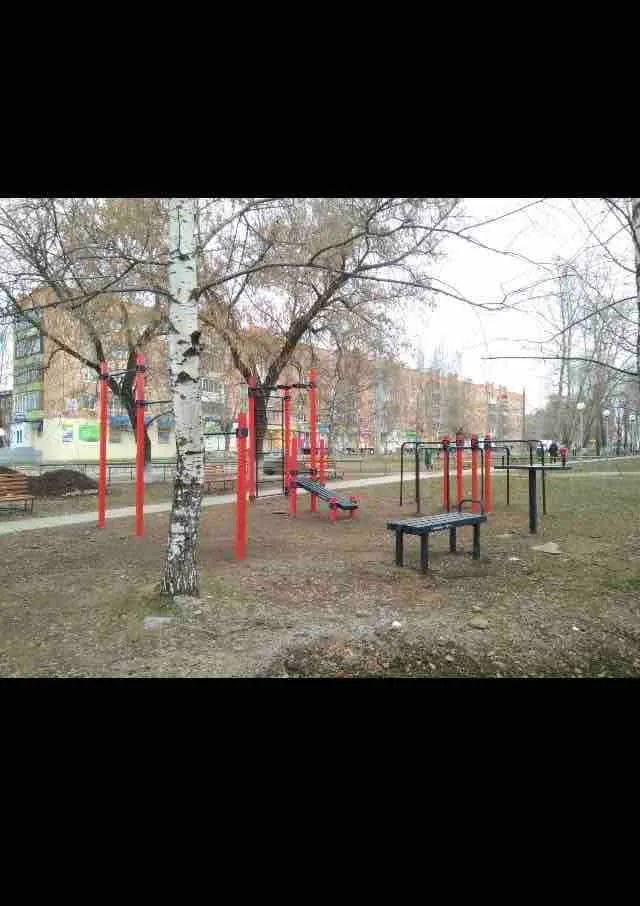 Wall Bars at Calisthenics Park at улица Оружейника Драгунова, городской округ Ижевск #wp2883 – photo 3 of 4