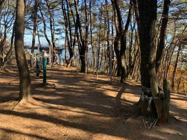 Calisthenics Park at 서간도길, 거제시