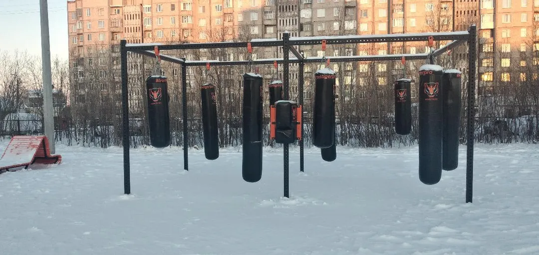 Wall Bars at Calisthenics Park at Школьный проезд, Мончегорск – photo 4 of 8