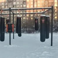 Calisthenics Park at Школьный проезд, Мончегорск - thumbnail 4