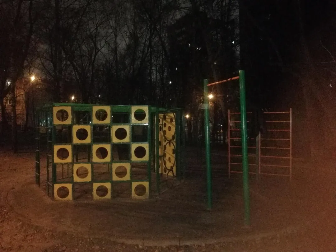 Spalier la Calisthenics Park at улица Маршала Неделина, Москва – fotografia 3 din 3