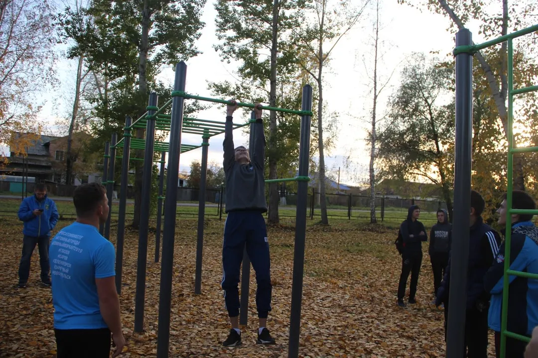 Турнік на майданчику Calisthenics Park at Советская улица, Заозёрный – фото 1 з 1