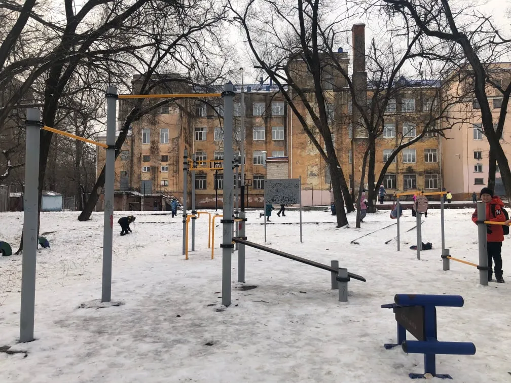 Parallele presso Calisthenics Park at Цимлянская улица, Хабаровск – foto 6 di 6