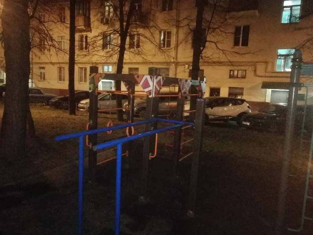 Monkey Bars la Calisthenics Park at улица Маршала Неделина, Москва #wp2905 – fotografia 3 din 7