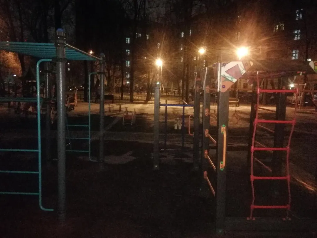Spalier la Calisthenics Park at улица Маршала Неделина, Москва #wp2905 – fotografia 4 din 7