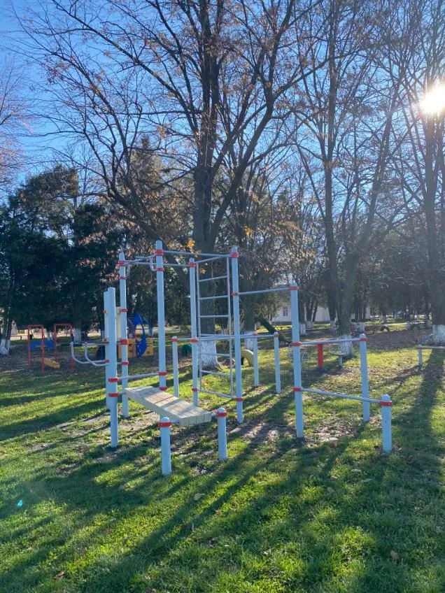 Скамья для пресса на площадке Calisthenics Park at улица Кирова, Комсомольский – фото 4 из 4