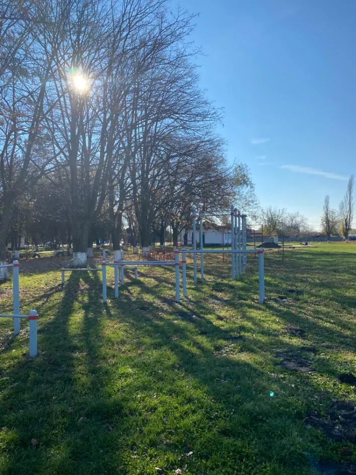 Шведская стенка на площадке Calisthenics Park at улица Кирова, Комсомольский – фото 3 из 4