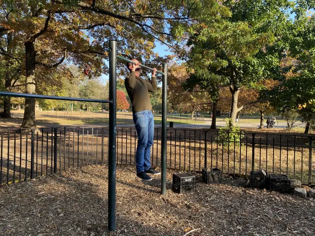 Calisthenics Park at West Drive, City of New York
