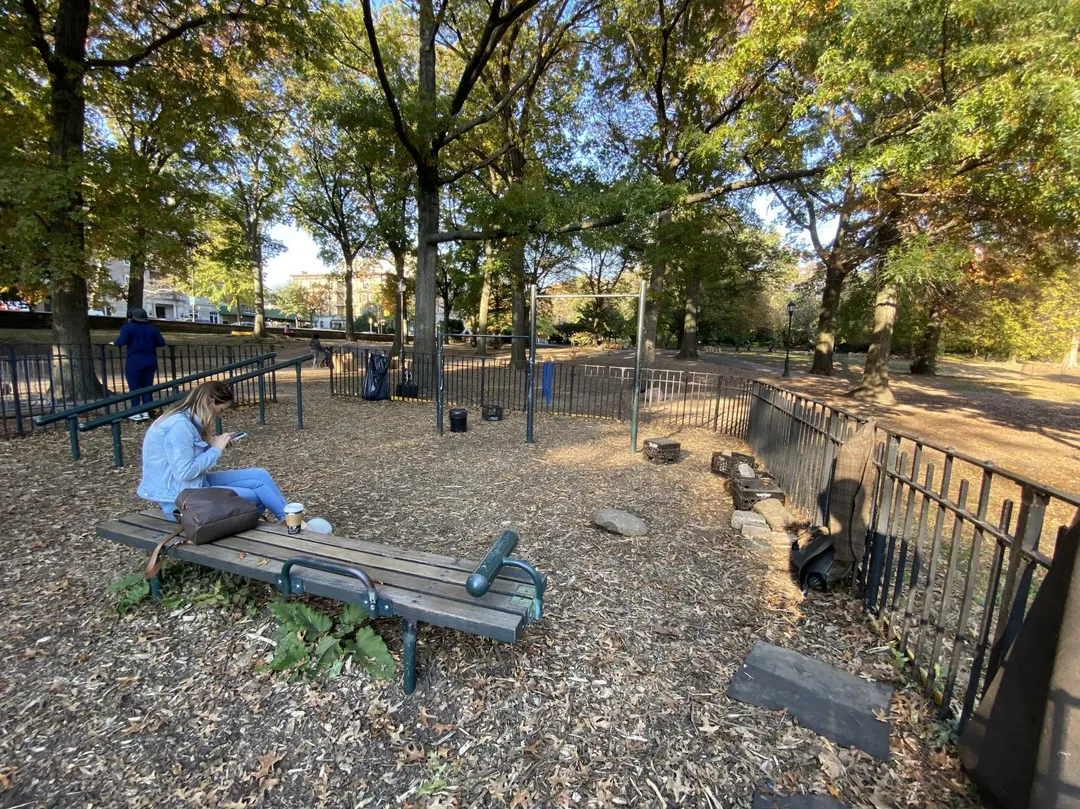 Barren bei Calisthenics Park at West Drive, City of New York – Foto 2 von 2