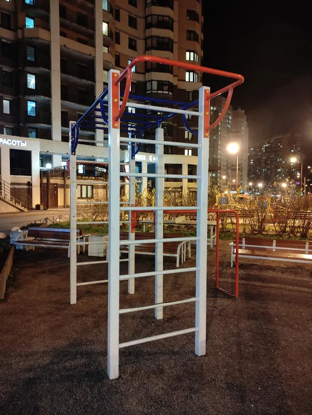 Calisthenics Park at улица Михаила Дудина, Парголово #wp2916