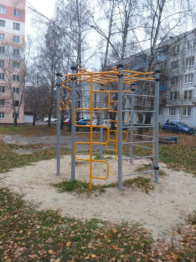 Calisthenics Park at Полынковская улица, городской округ Тамбов
