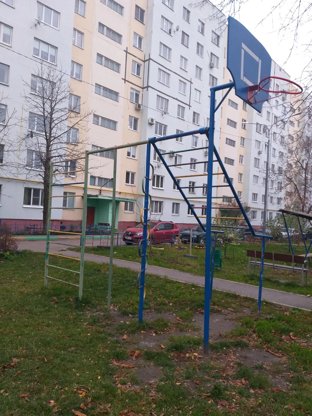 Monkey Bars at Calisthenics Park at Полынковская улица, городской округ Тамбов – photo 3 of 3