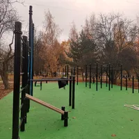 Calisthenics Park at проектируемый проезд № 4599, Москва - thumbnail 1