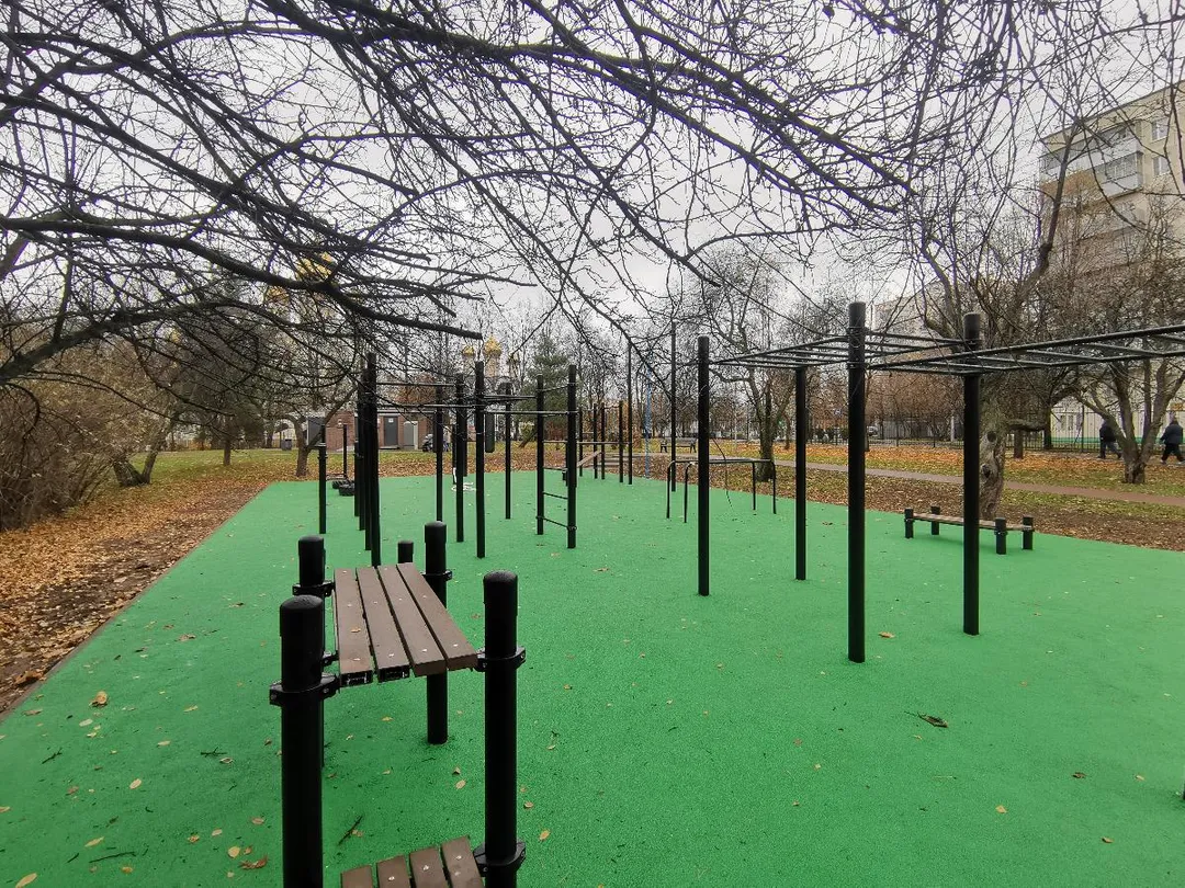 Monkey Bars la Calisthenics Park at проектируемый проезд № 4599, Москва – fotografia 3 din 5