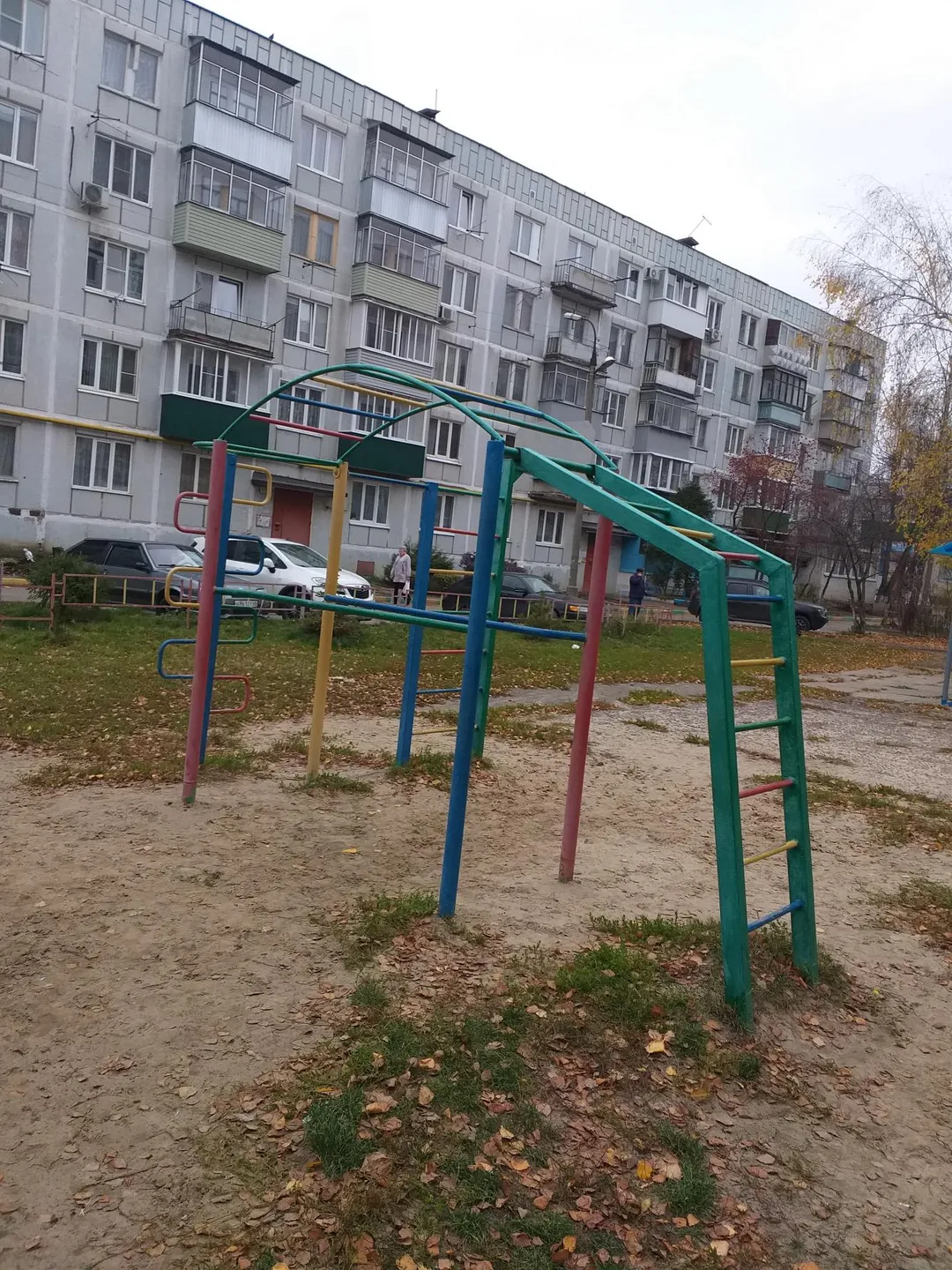 Wall Bars at Calisthenics Park at Полынковская улица, городской округ Тамбов #wp2923 – photo 2 of 3