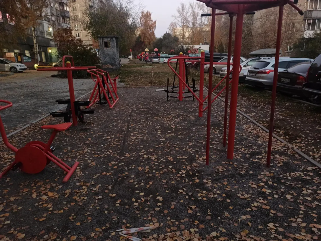 Sbarra per trazioni presso Calisthenics Park at улица Никитина, Новосибирск – foto 1 di 1