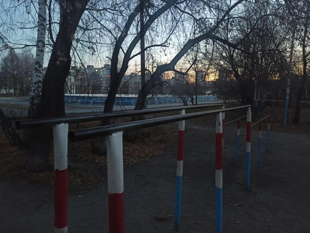 Parallel Gym Bars at Calisthenics Park at улица Лескова, городской округ Новосибирск – photo 2 of 2