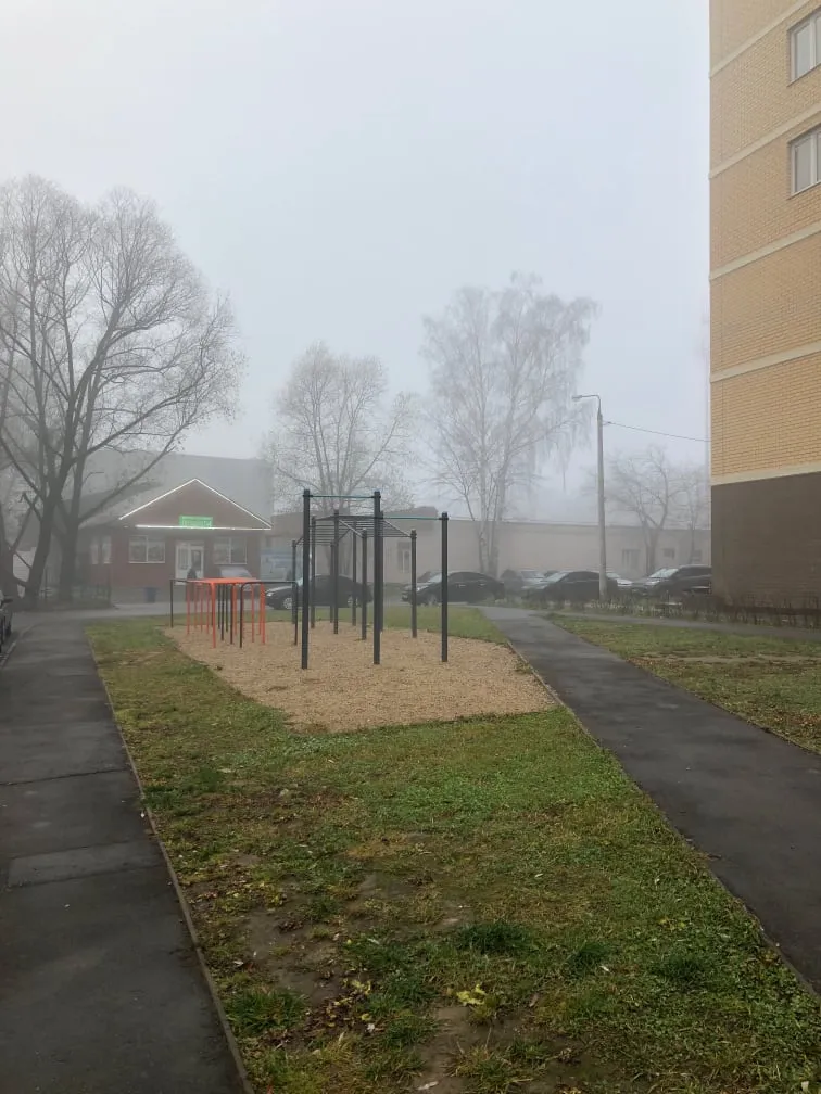 Parallel Gym Bars at Calisthenics Park at Новое шоссе, Долгопрудный – photo 2 of 2