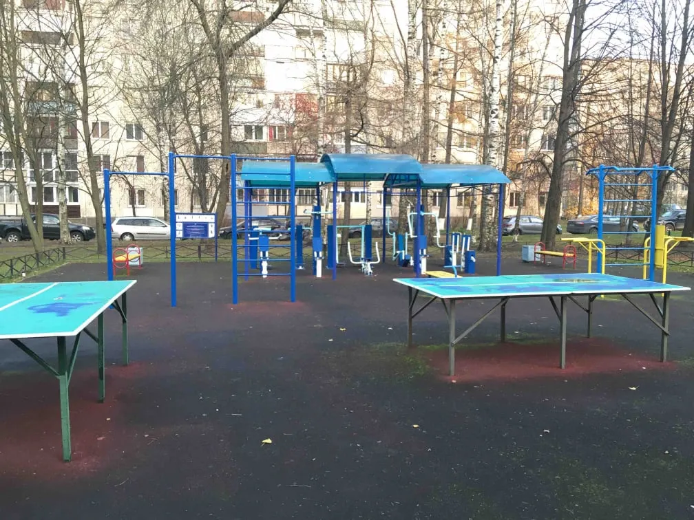 Pull Up Bar at Calisthenics Park at проспект Солидарности, Санкт-Петербург – photo 1 of 1
