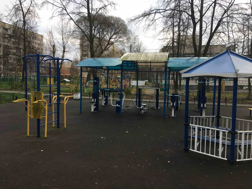 Spalier la Calisthenics Park at улица Коллонтай, Санкт-Петербург #wp2937 – fotografia 3 din 3