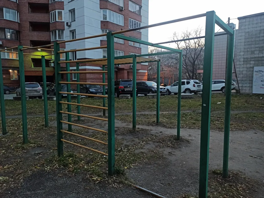 Брусья на площадке Calisthenics Park at улица Бориса Богаткова, Новосибирск – фото 2 из 3