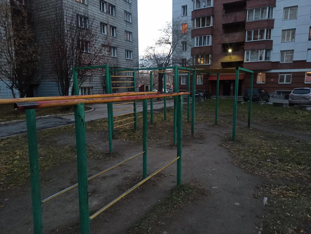 Рукоход на площадке Calisthenics Park at улица Бориса Богаткова, Новосибирск – фото 3 из 3