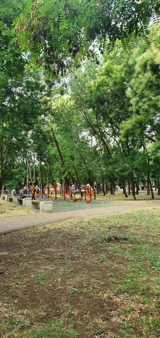 Barres de singe à Calisthenics Park at улица Федько, Феодосия – photo 3 sur 3