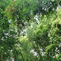 Calisthenics Park at улица Федько, Феодосия - thumbnail 3