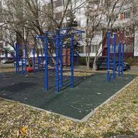 Calisthenics Park at улица Маршала Тухачевского, Москва #wp2943 - thumbnail 1