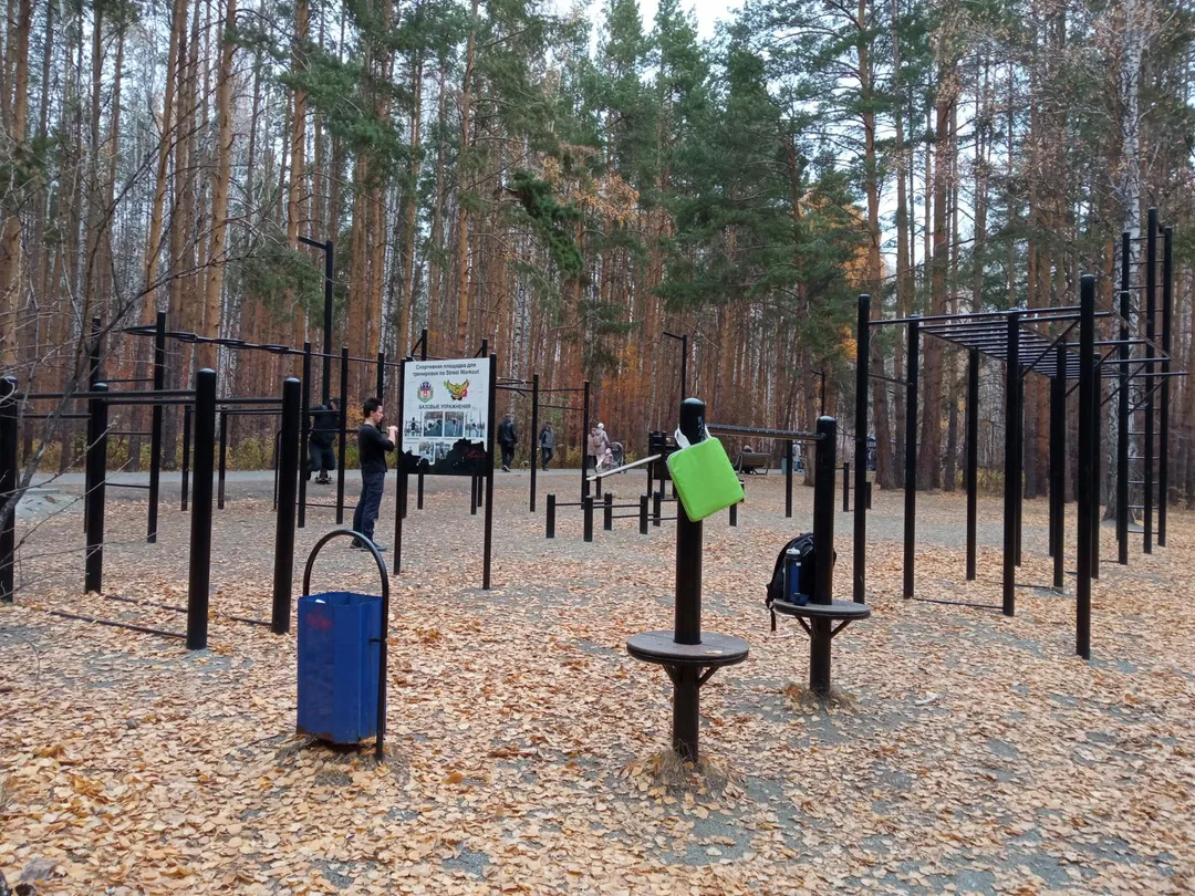 Barra de Flexiones en Calisthenics Park at улица 40-летия Победы, Челябинск – foto 2 de 2