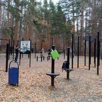Calisthenics Park at улица 40-летия Победы, Челябинск - thumbnail 2