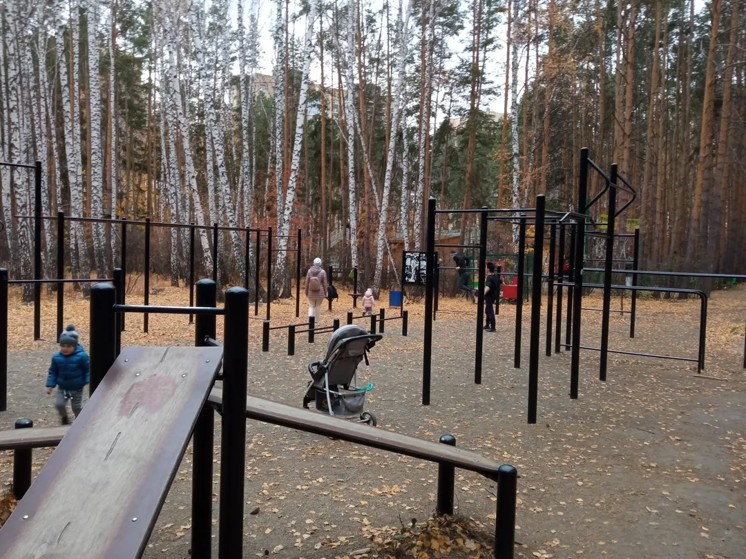 Barra de Dominadas en Calisthenics Park at улица 40-летия Победы, Челябинск – foto 1 de 2