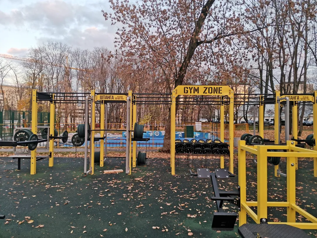 Parallel Gym Bars at Calisthenics Park at Сильный двор "Динамо", Москва – photo 2 of 3