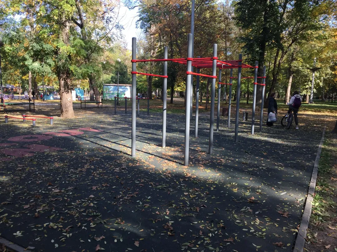 Liegestützgriffe bei Calisthenics Park at Чистяковская аллея, Краснодар – Foto 2 von 3
