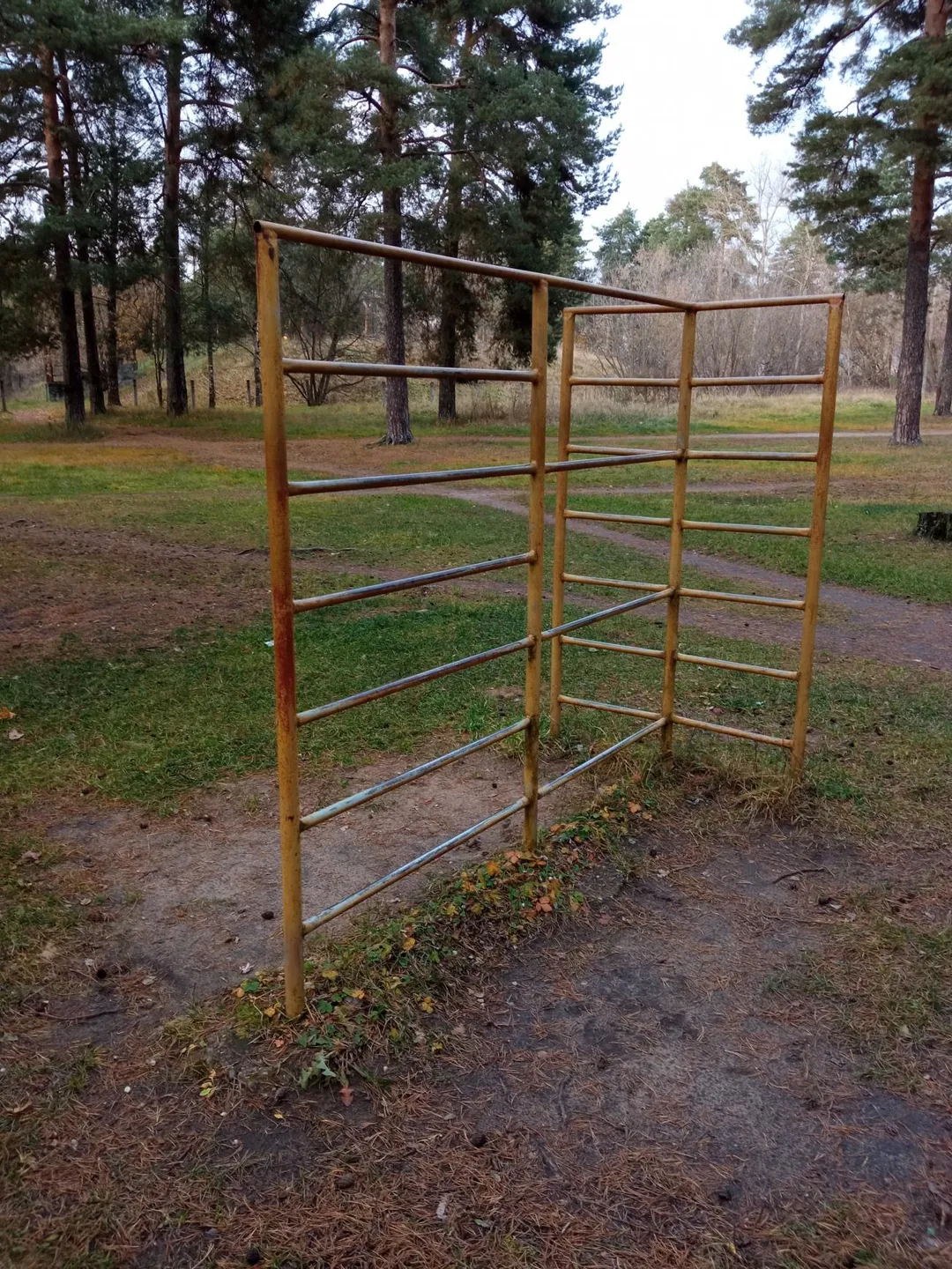 Liegestützgriffe bei Calisthenics Park at Лесная улица, городской округ Тверь – Foto 5 von 5
