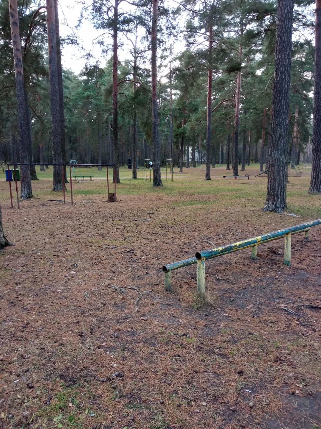 Bauchbank bei Calisthenics Park at Лесная улица, городской округ Тверь – Foto 4 von 5