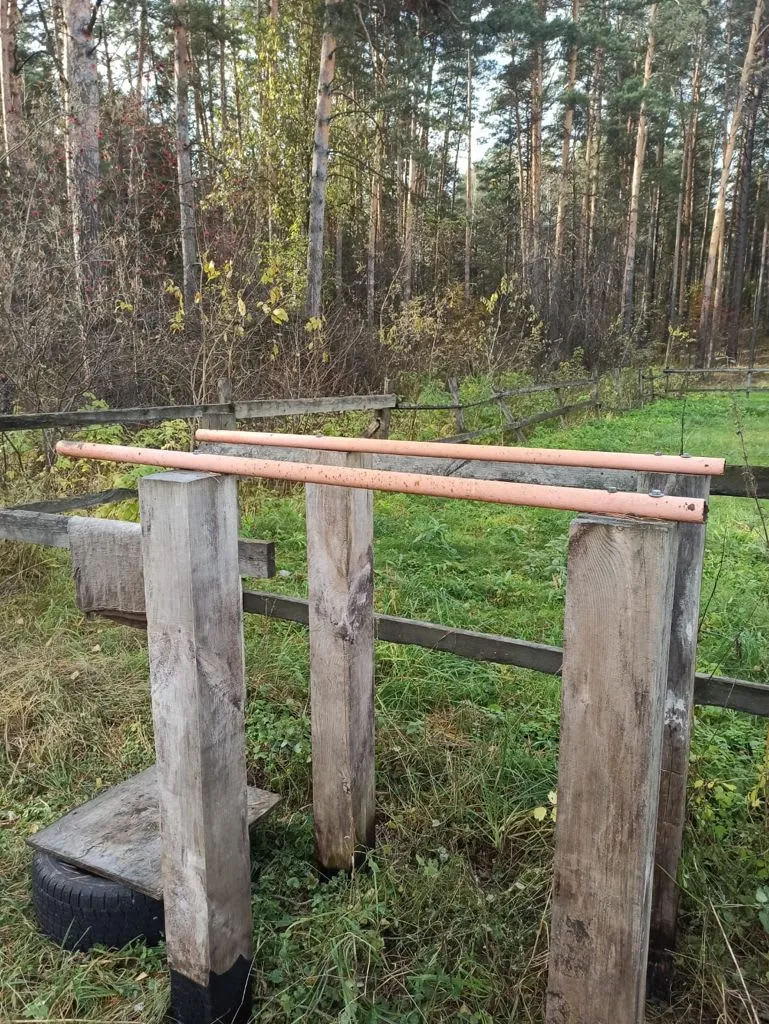 Bare paralele la Calisthenics Park at Заепарк, городской округ Новосибирск – fotografia 2 din 2