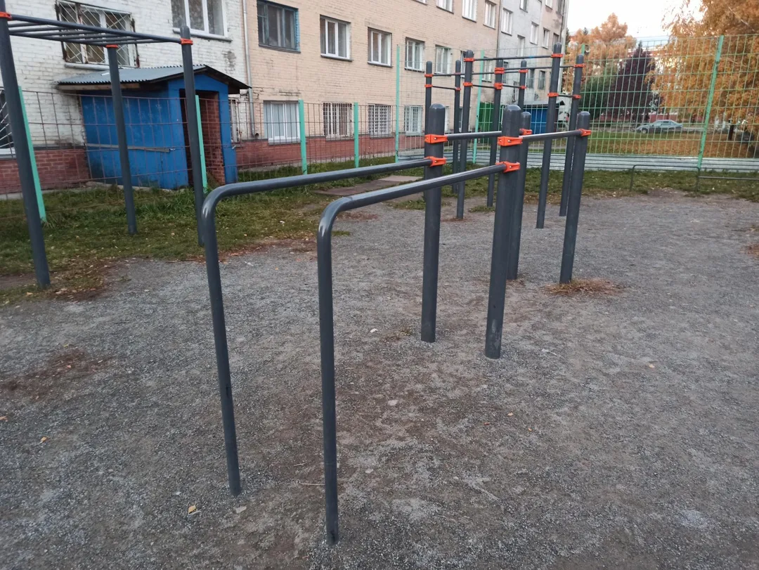 Monkey Bars la Calisthenics Park at улица Крамского, городской округ Новосибирск – fotografia 3 din 4