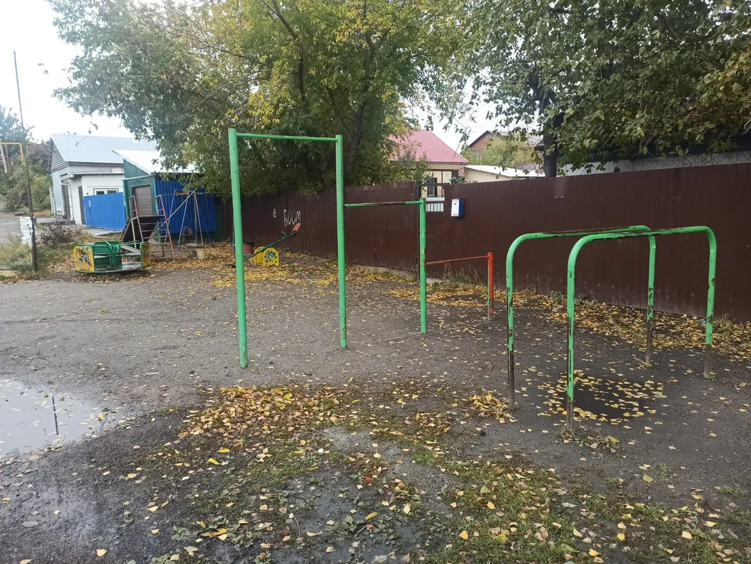 Pull Up Bar at Calisthenics Park at улица Дубравы, городской округ Новосибирск – photo 1 of 1